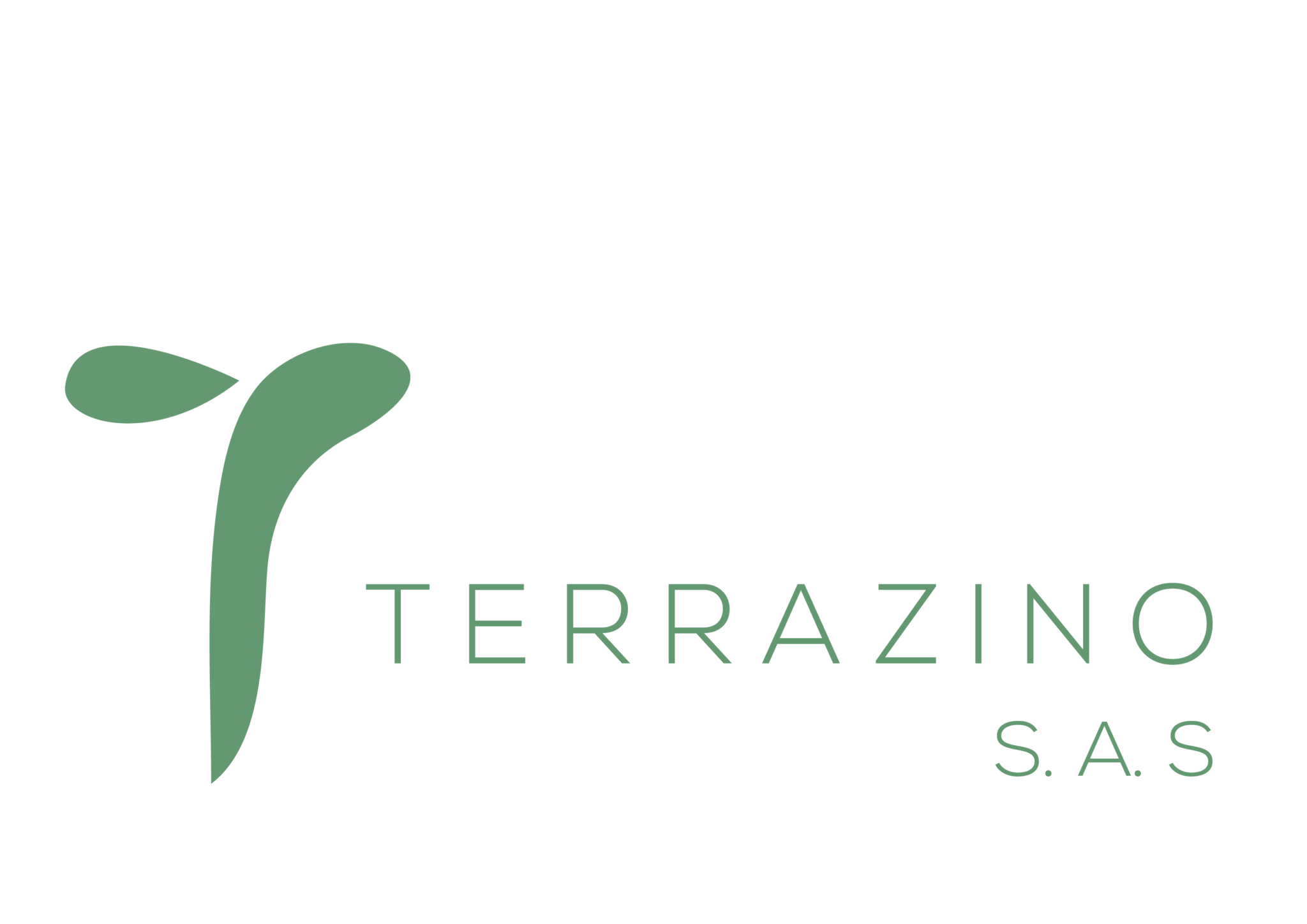LOGO TERRAZINO SAS SOLO-01